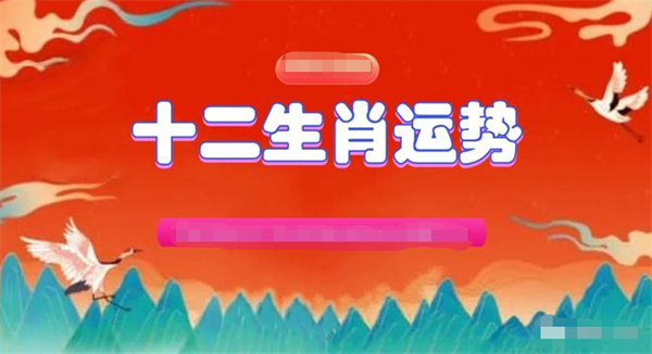 2024年一肖一码一中一特|精选资料解释大全